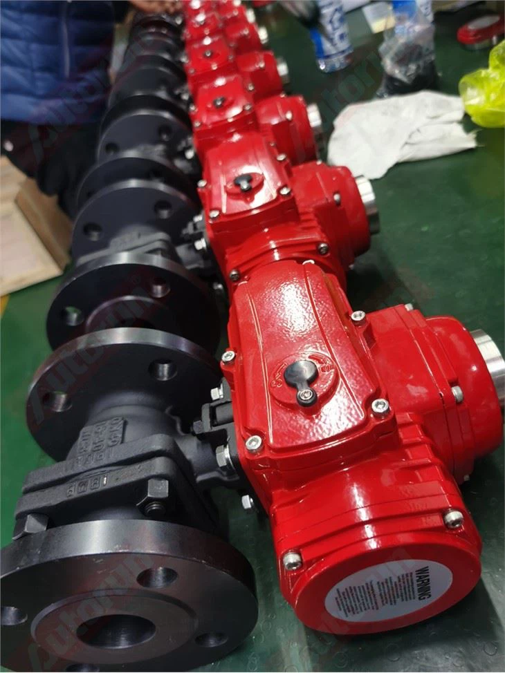 Small Explosion Proof Electric Actuator